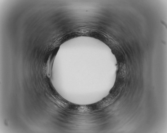 X0000097850562200804111131