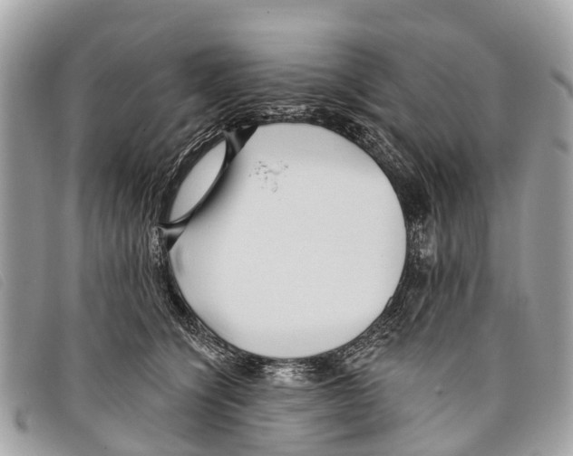 X0000097850564200804111131