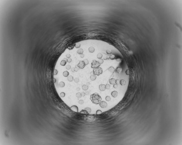 X0000097850565200804111131