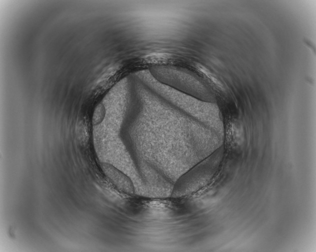 X0000097850566200804111131