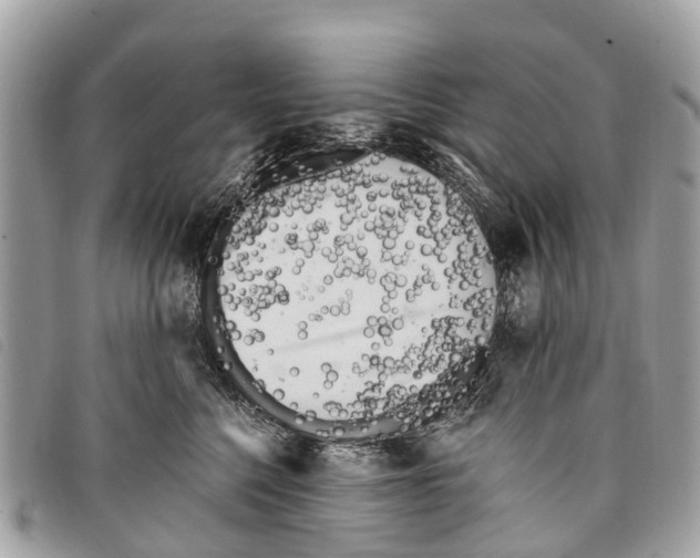 X0000097850568200804111131