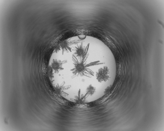 X0000097850569200804111131