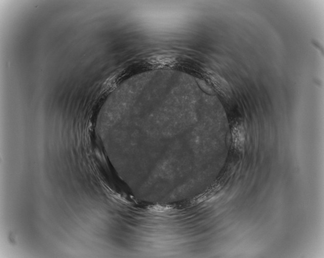 X0000097850570200804111131