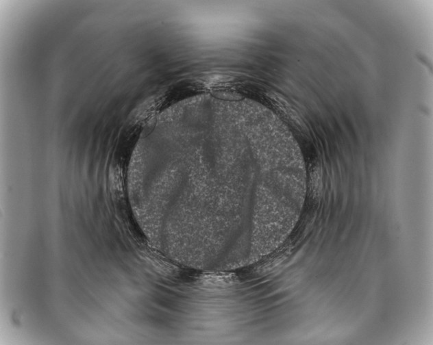 X0000097850571200804111131