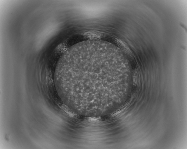 X0000097850573200804111131