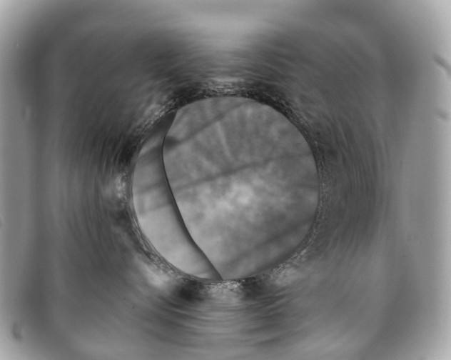 X0000097850576200804111131