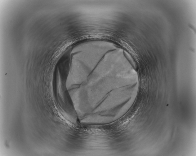 X0000097850577200804111130