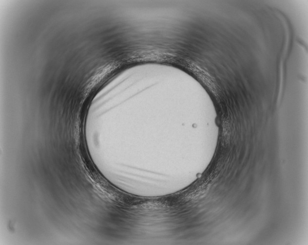 X0000097850578200804111130