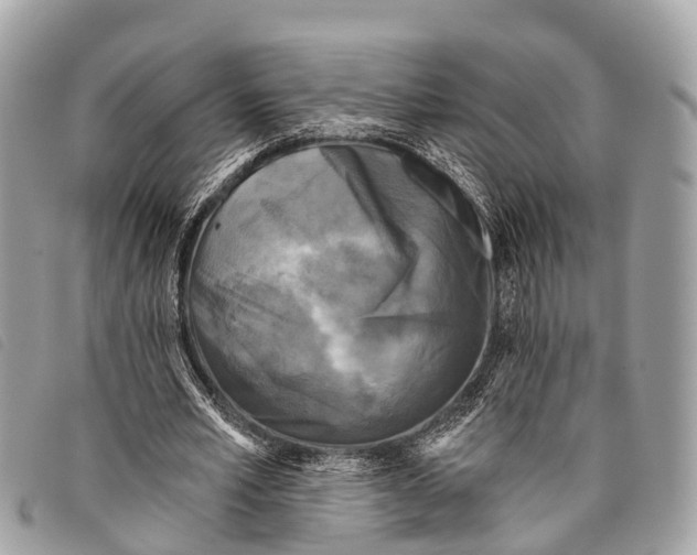 X0000097850581200804111130