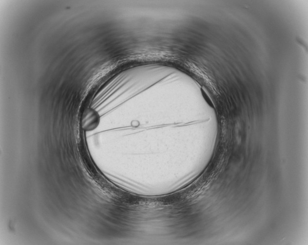 X0000097850582200804111130