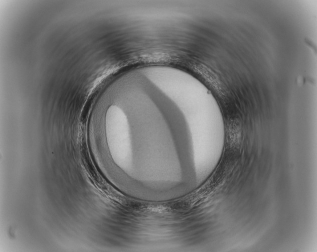 X0000097850583200804111130