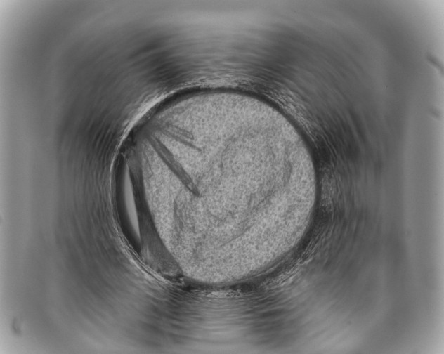 X0000097850584200804111130