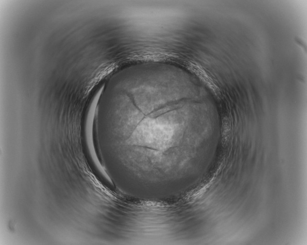 X0000097850585200804111130