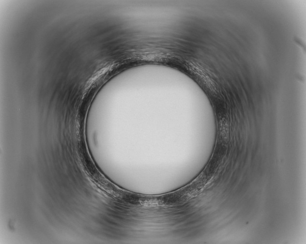 X0000097850587200804111130