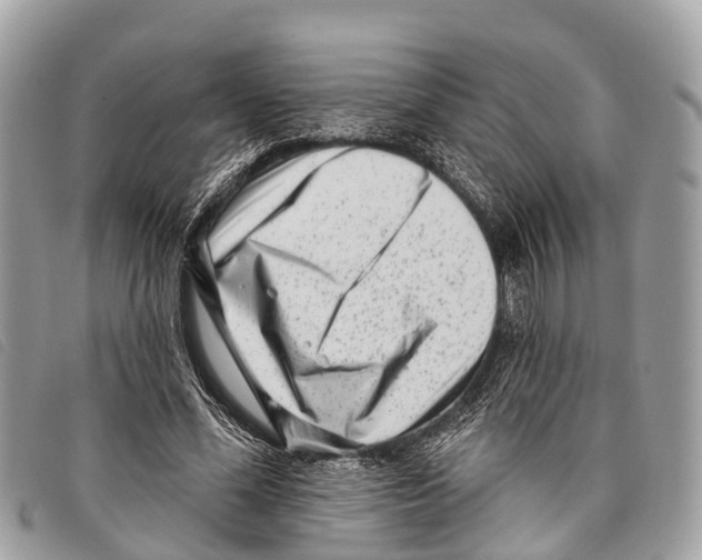 X0000097850588200804111130