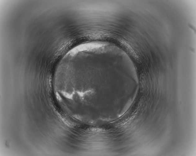 X0000097850590200804111130