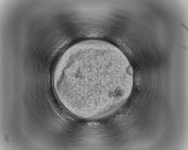 X0000097850591200804111130