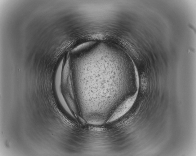 X0000097850593200804111130