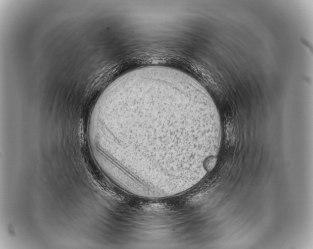 X0000097850594200804111130