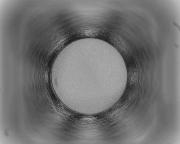 X0000097850595200804111130