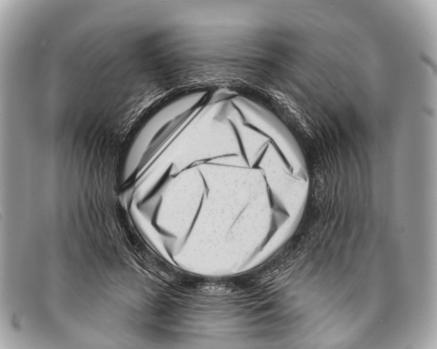 X0000097850596200804111130