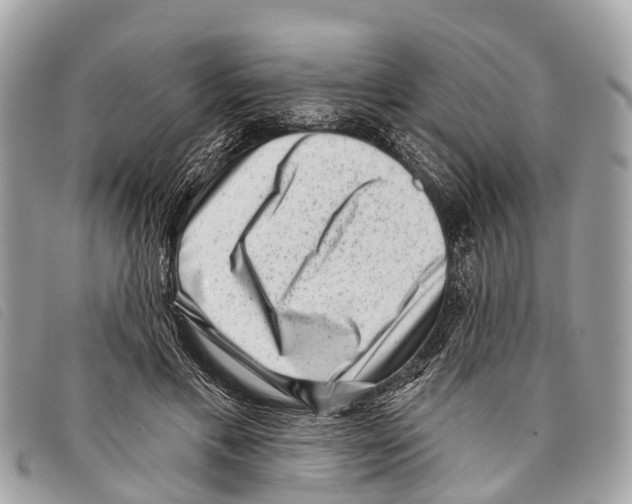 X0000097850597200804111130