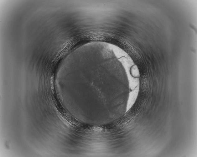 X0000097850598200804111130