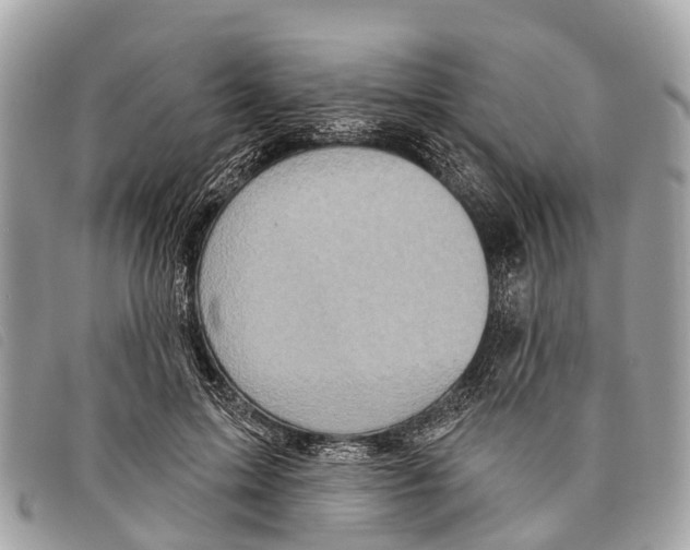 X0000097850599200804111130