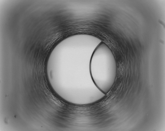 X0000097850601200804111130