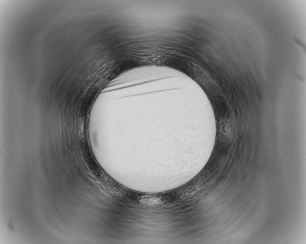 X0000097850602200804111130