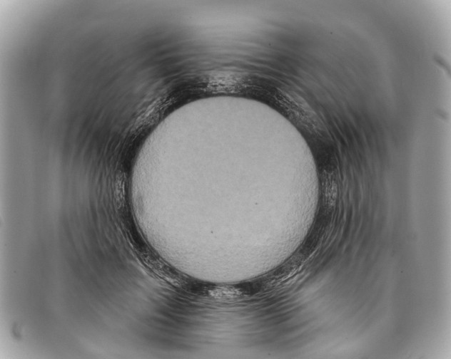 X0000097850603200804111130