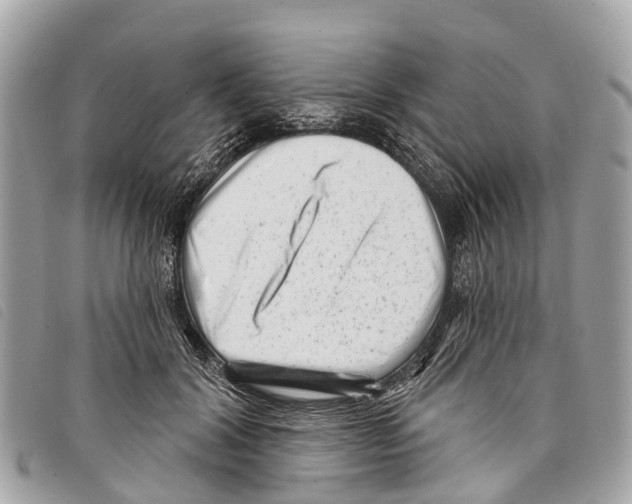 X0000097850604200804111130