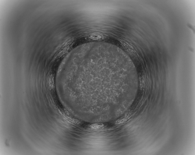 X0000097850606200804111130