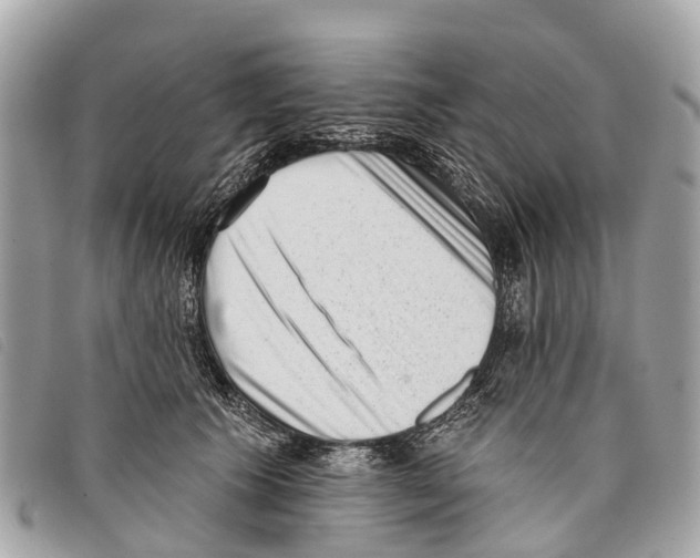 X0000097850609200804111130