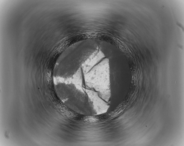 X0000097850610200804111130