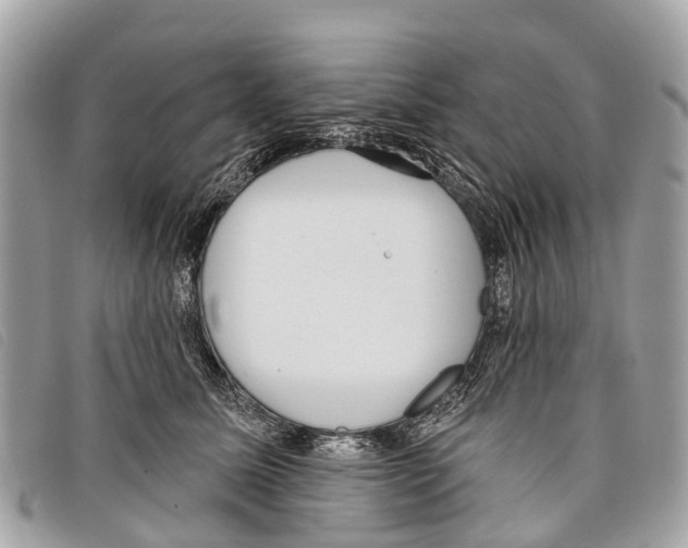 X0000097850611200804111130