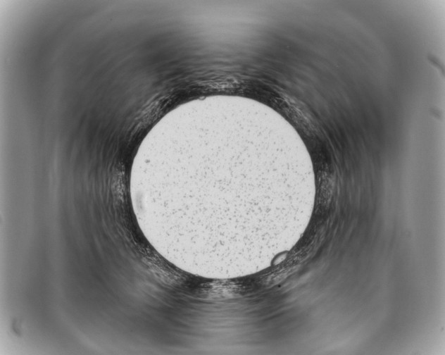 X0000097850612200804111130