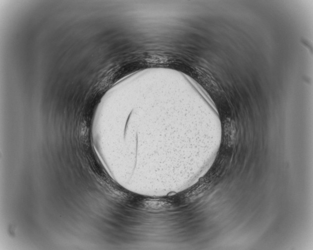 X0000097850614200804111130