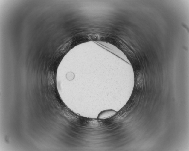 X0000097850616200804111130