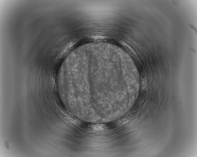 X0000097850618200804111130