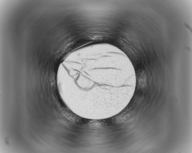 X0000097850620200804111130