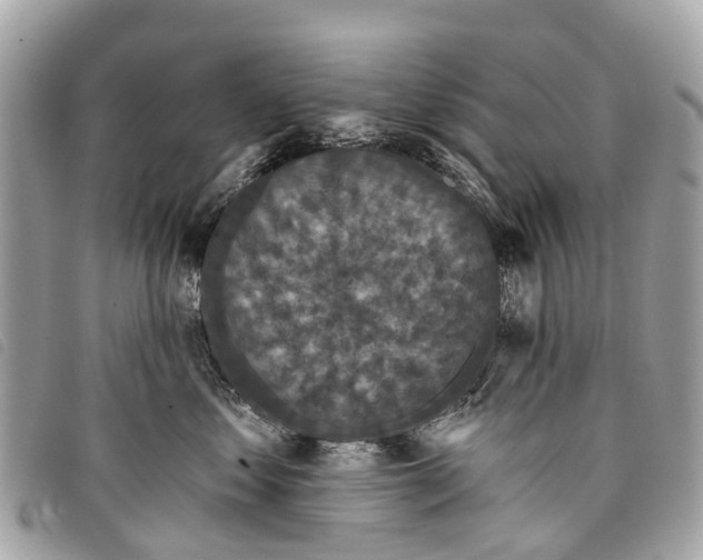 X0000097850621200804111130