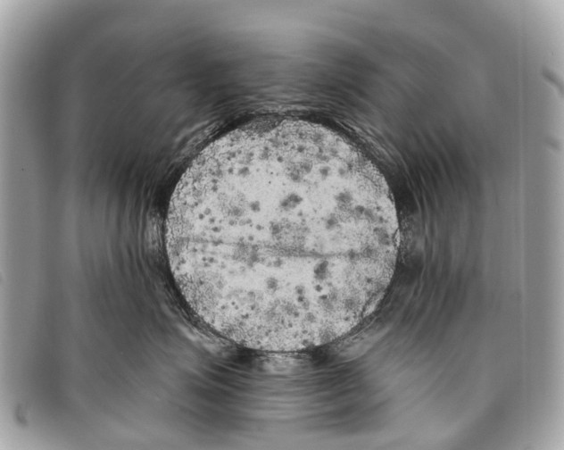 X0000097850623200804111130