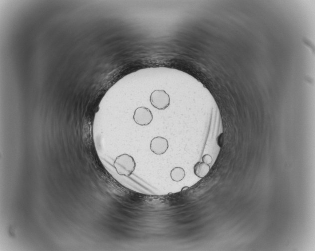 X0000097850624200804111130