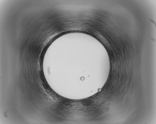 X0000097850628200804111129