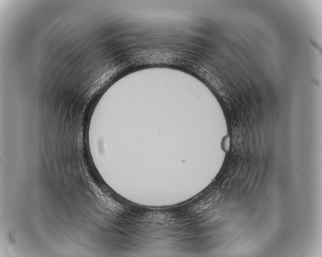 X0000097850629200804111129