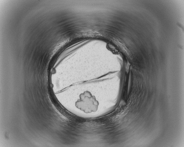 X0000097850630200804111129