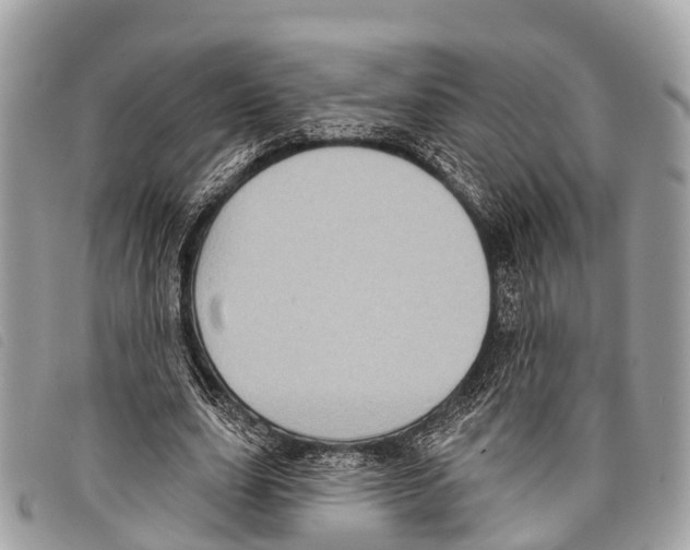 X0000097850631200804111129