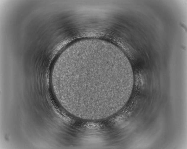 X0000097850632200804111129