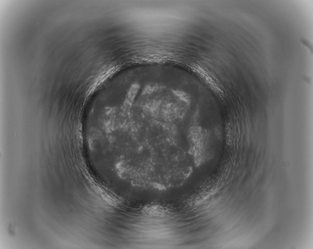 X0000097850634200804111129